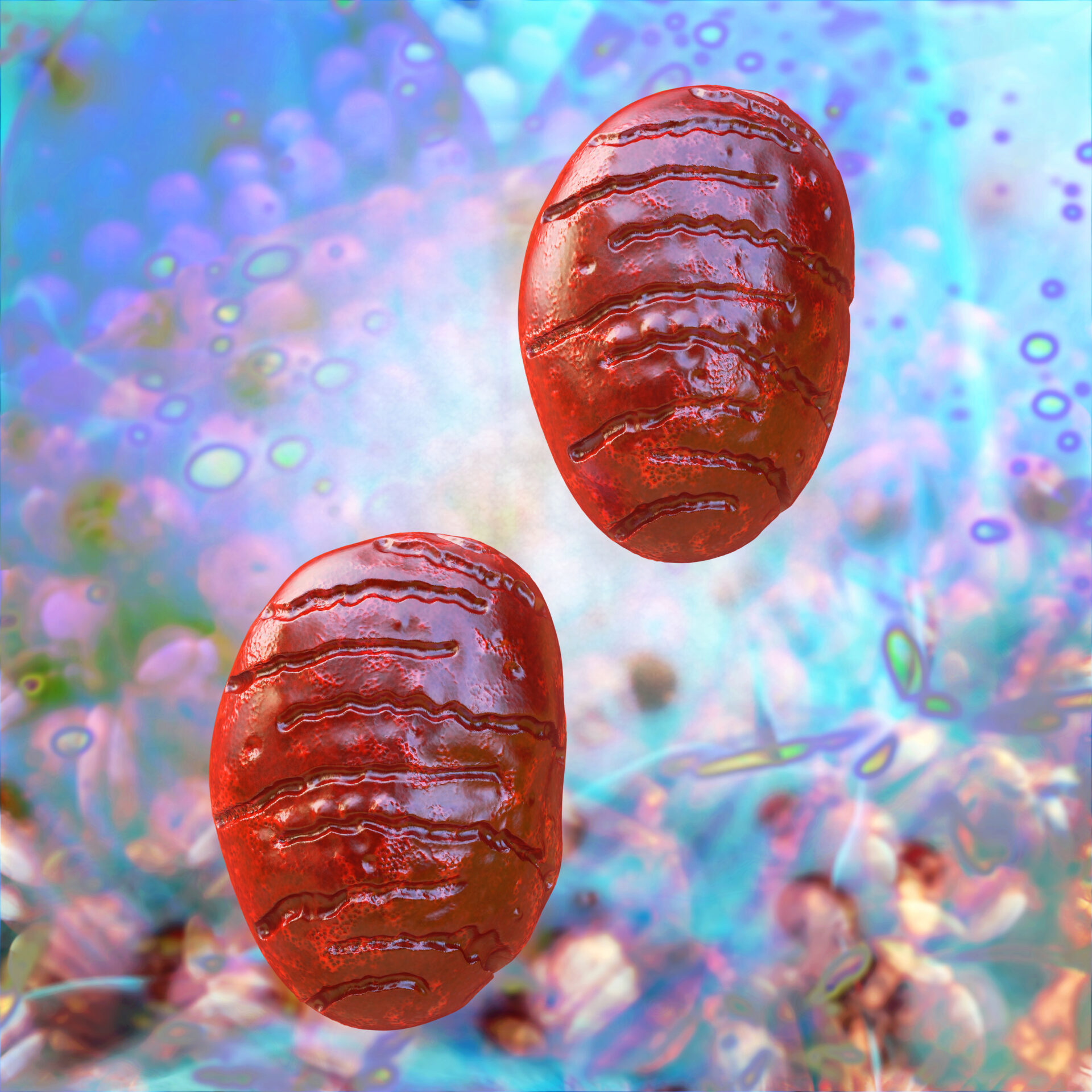 Mitochondrium - 3d Render