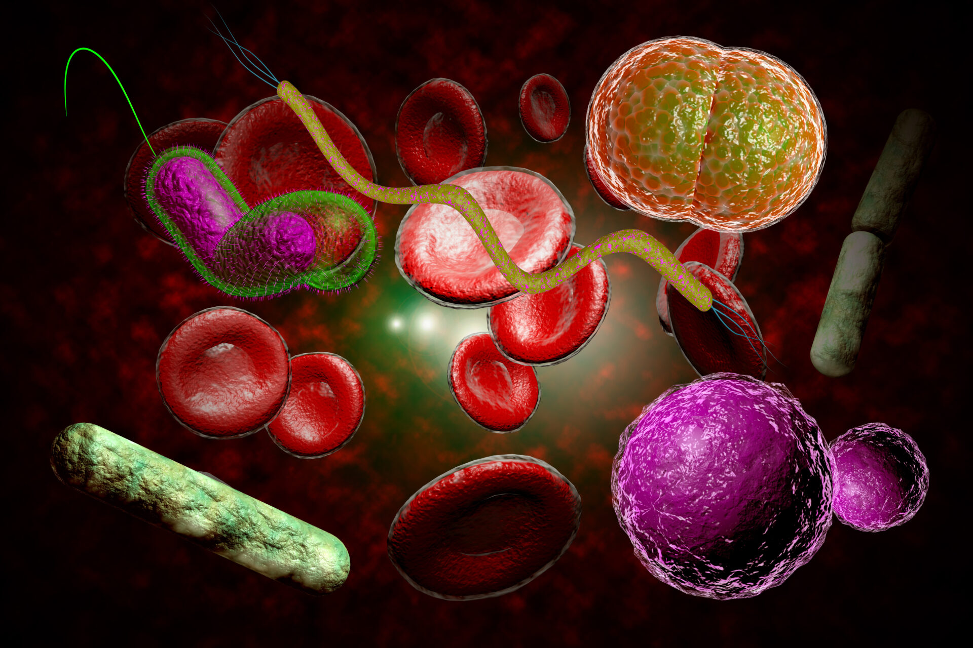Три болезнетворные бактерии. Бактерии инфекции крови. Кровяные инфекции картинки.